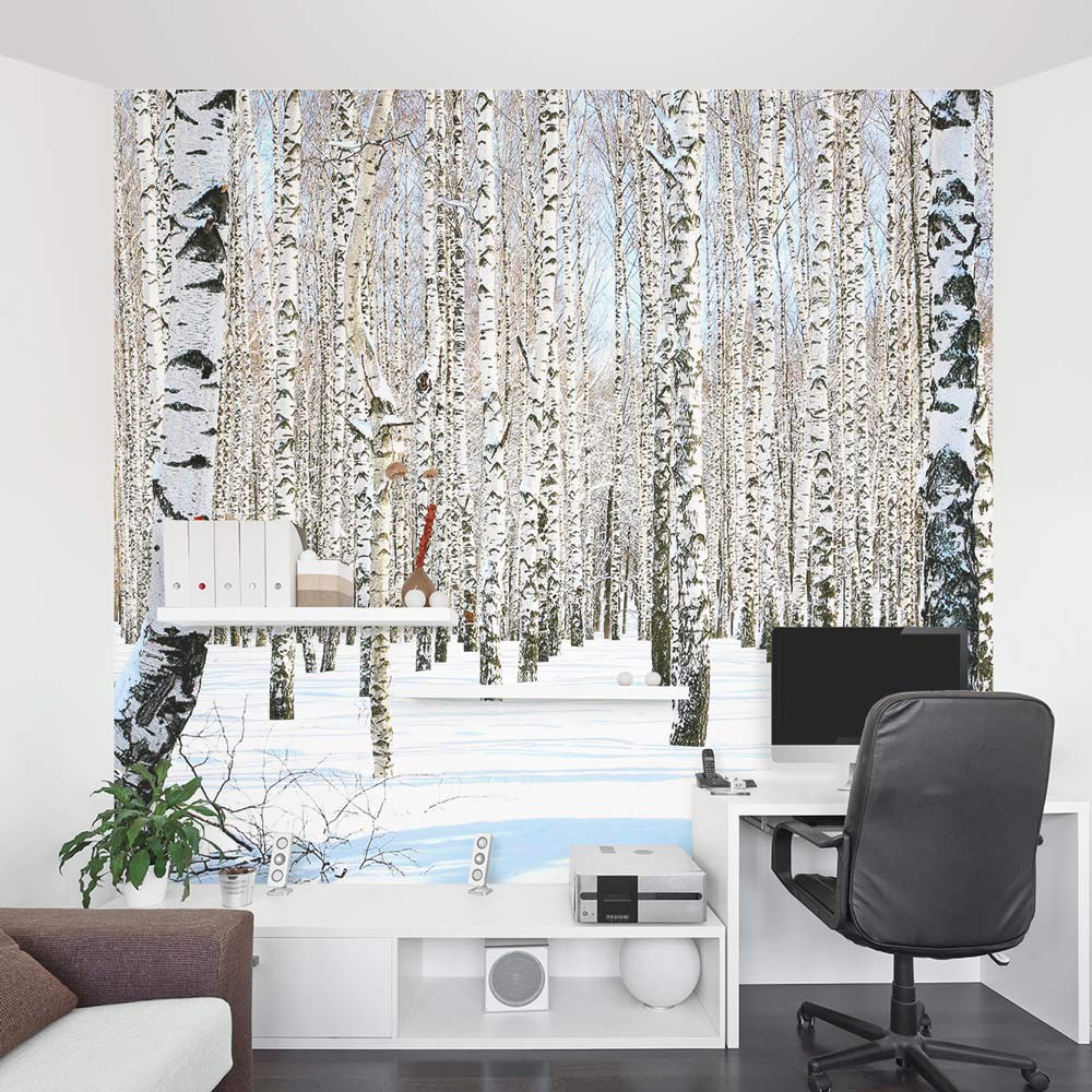 Birch Tree Wall Mural | Winter Birch Tree Wallpaper