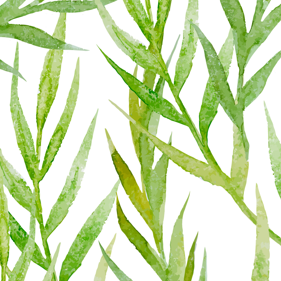 Watercolor Green Leaves Wallpaper Sample