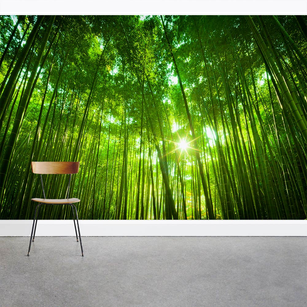 Kyoto Bamboo Forest Wall Mural 