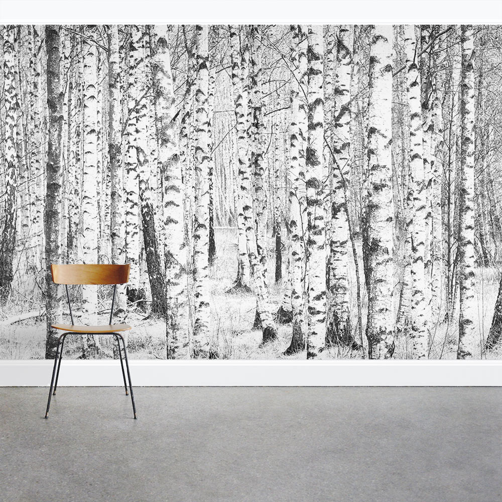 Birch Bark Pattern Wallpaper Wall Mural by Magic Murals