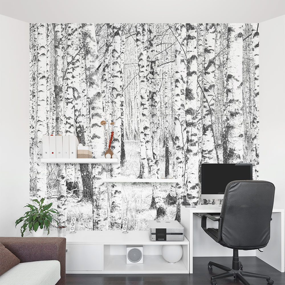 Winter Birch Trees Wall Mural