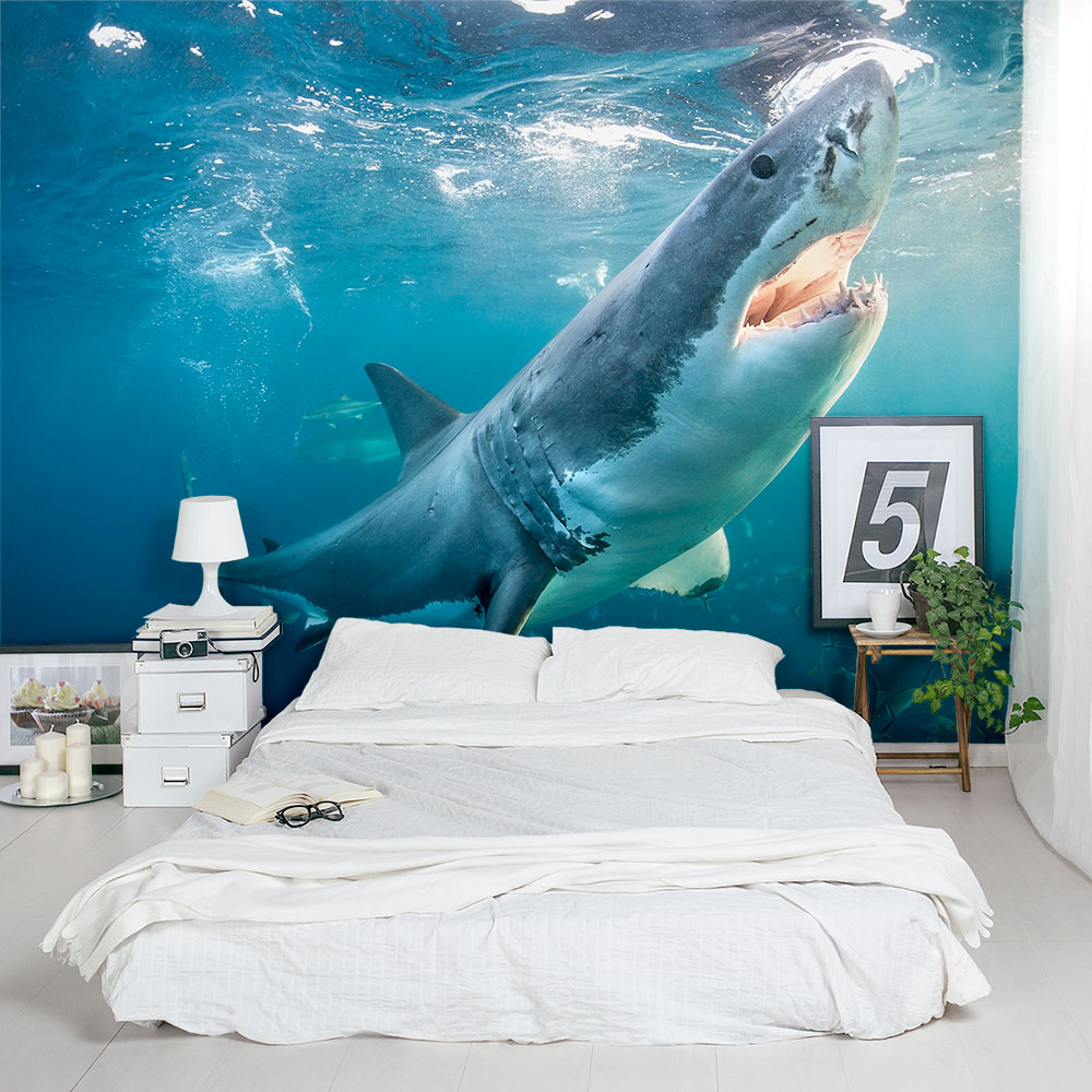 Great White Shark Wall Mural | Great White Wallpaper