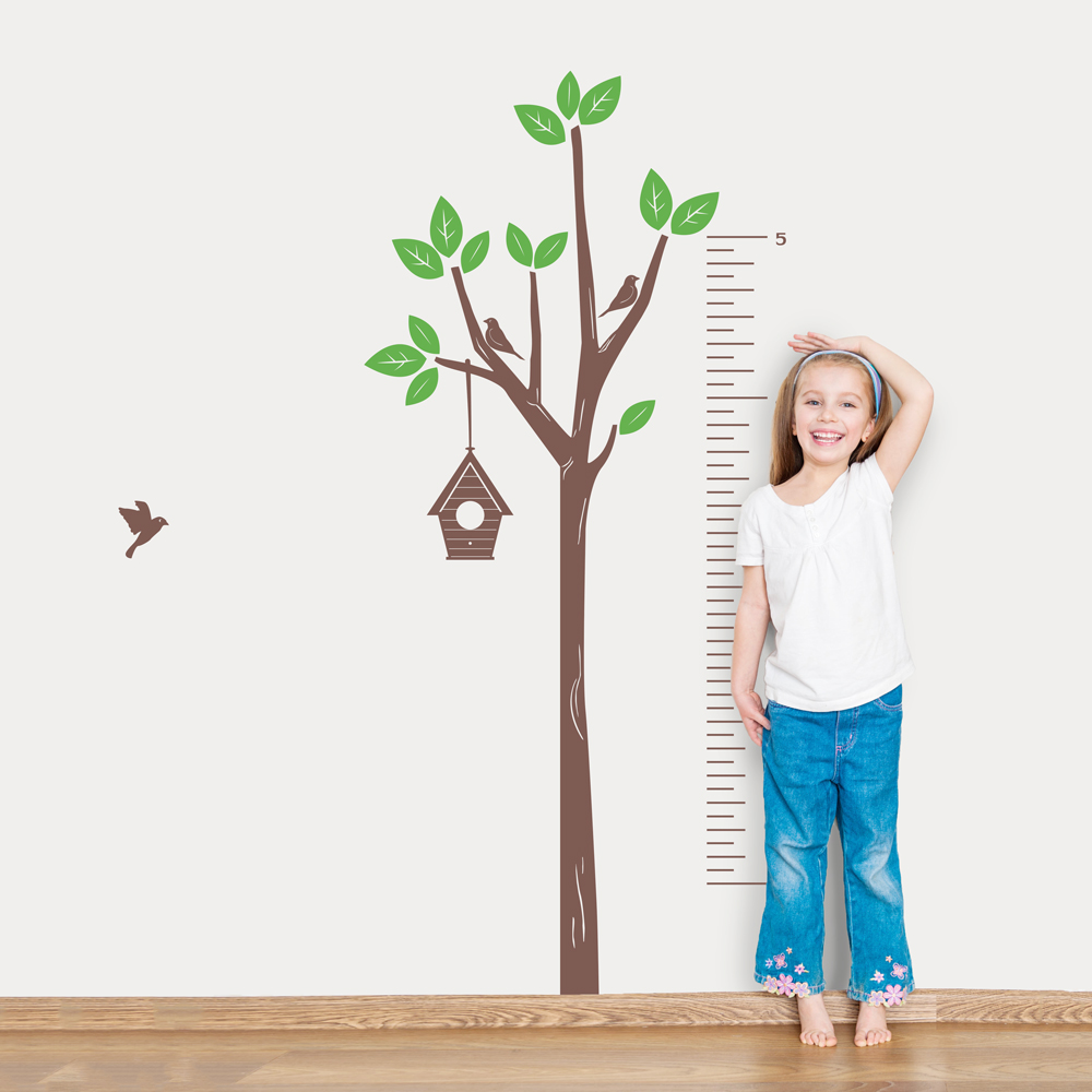 Wall Growth Chart