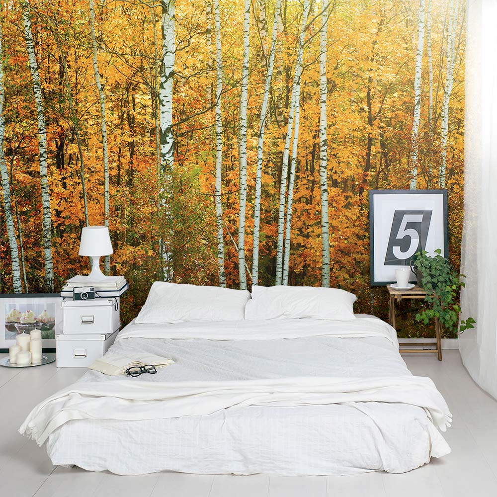 Autumn Birch Tree Forest Wall Mural