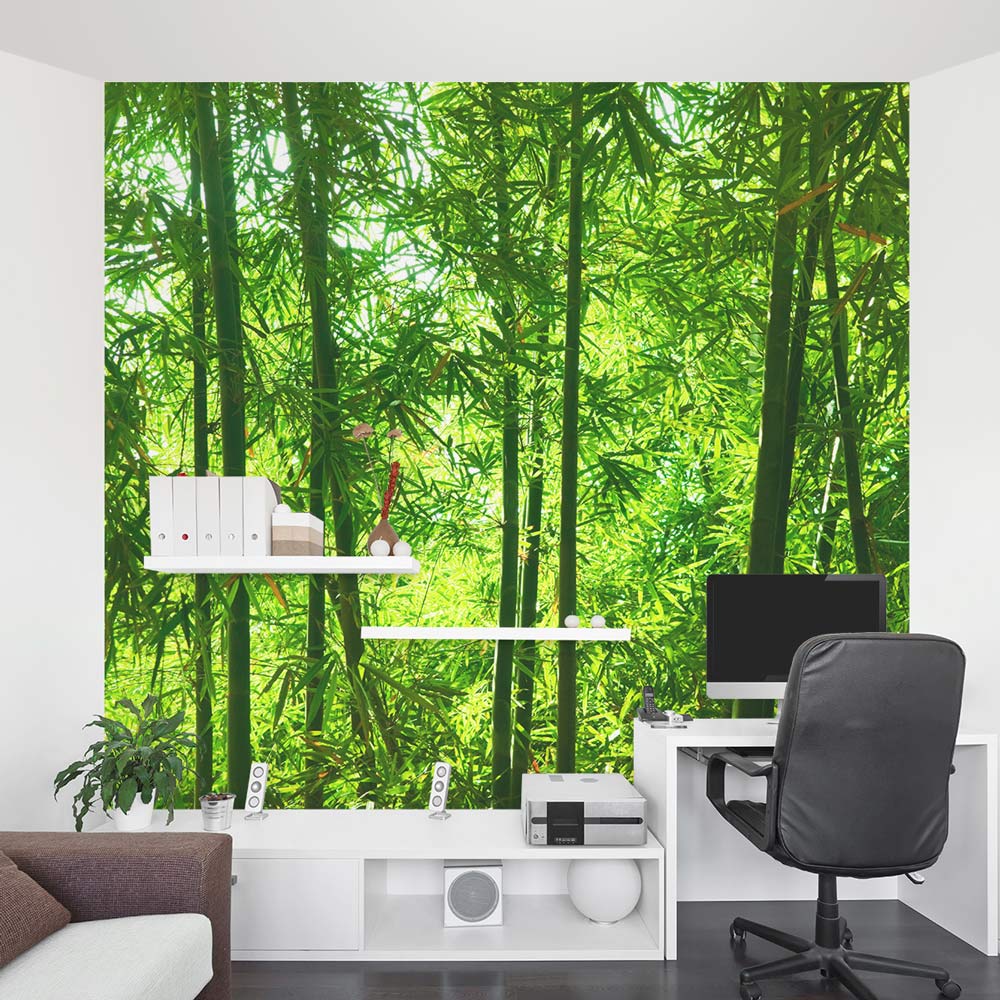 Bamboo Wall Mural  Forest Wallpaper Mural  Wallums