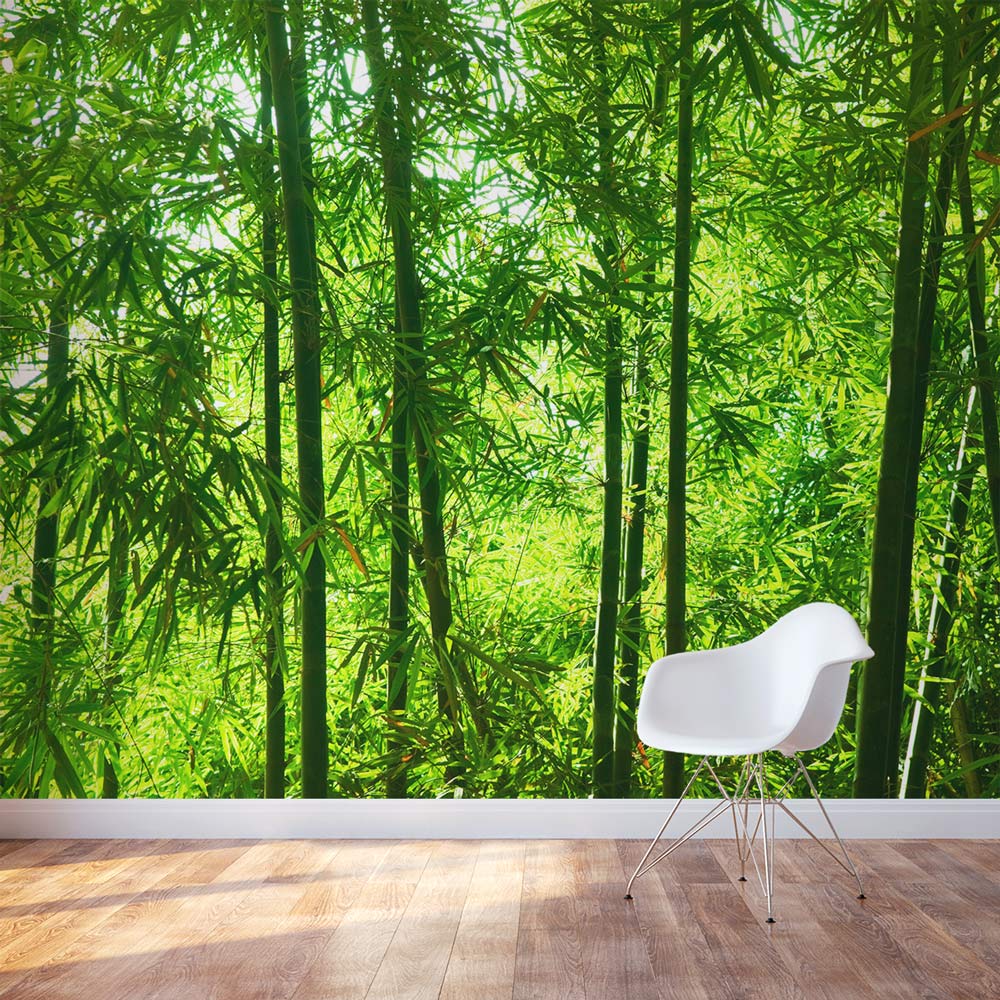 Bamboo Wall Mural  Forest Wallpaper Mural  Wallums