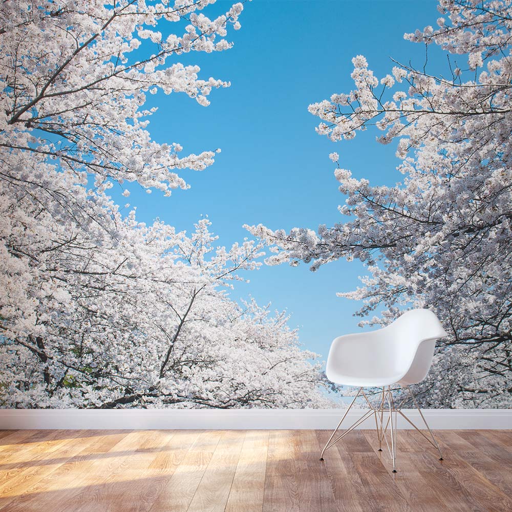 White Cherry Blossom Wall Decal | Cherry Blossom Tree Wall Mural