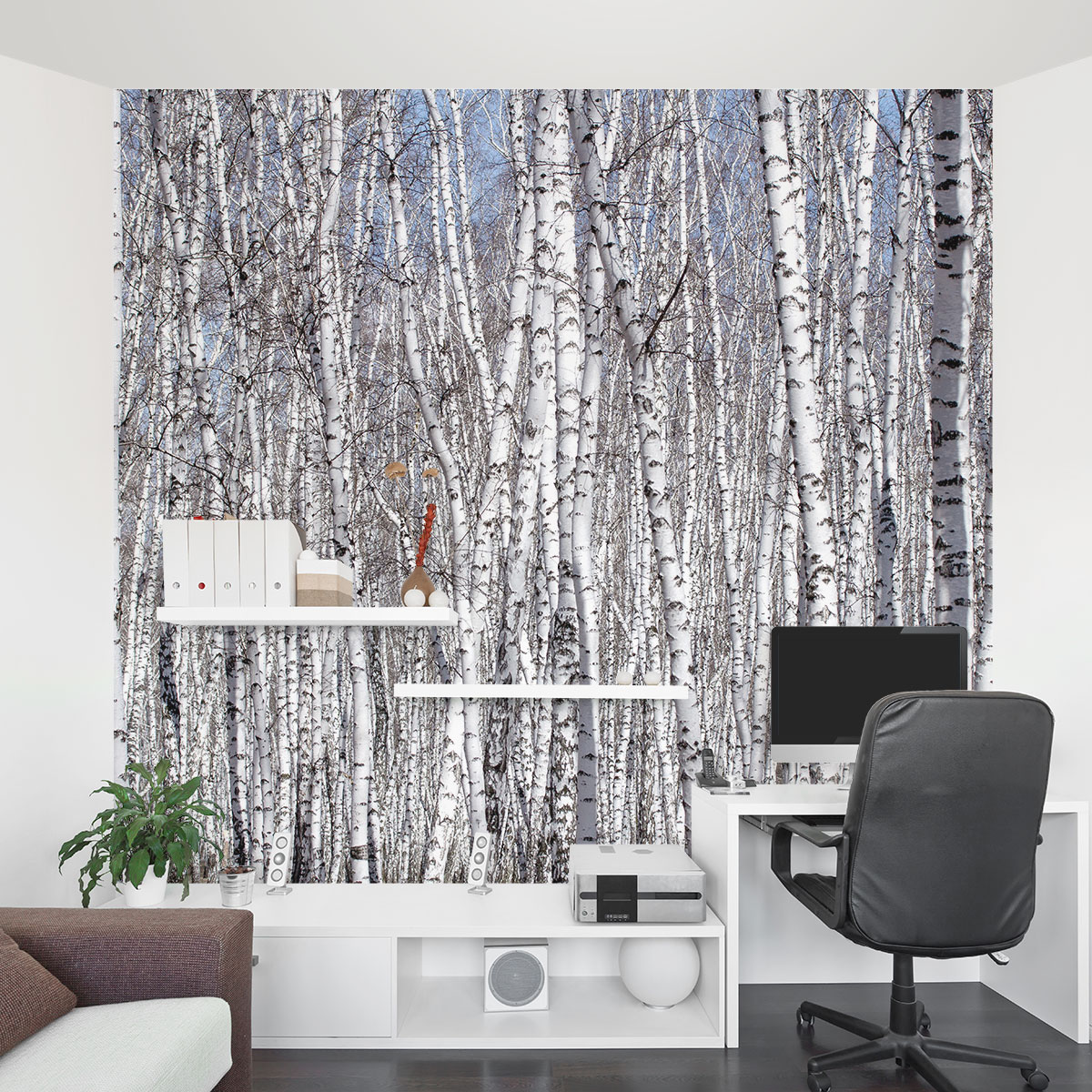 White Birch Trees Mural Office