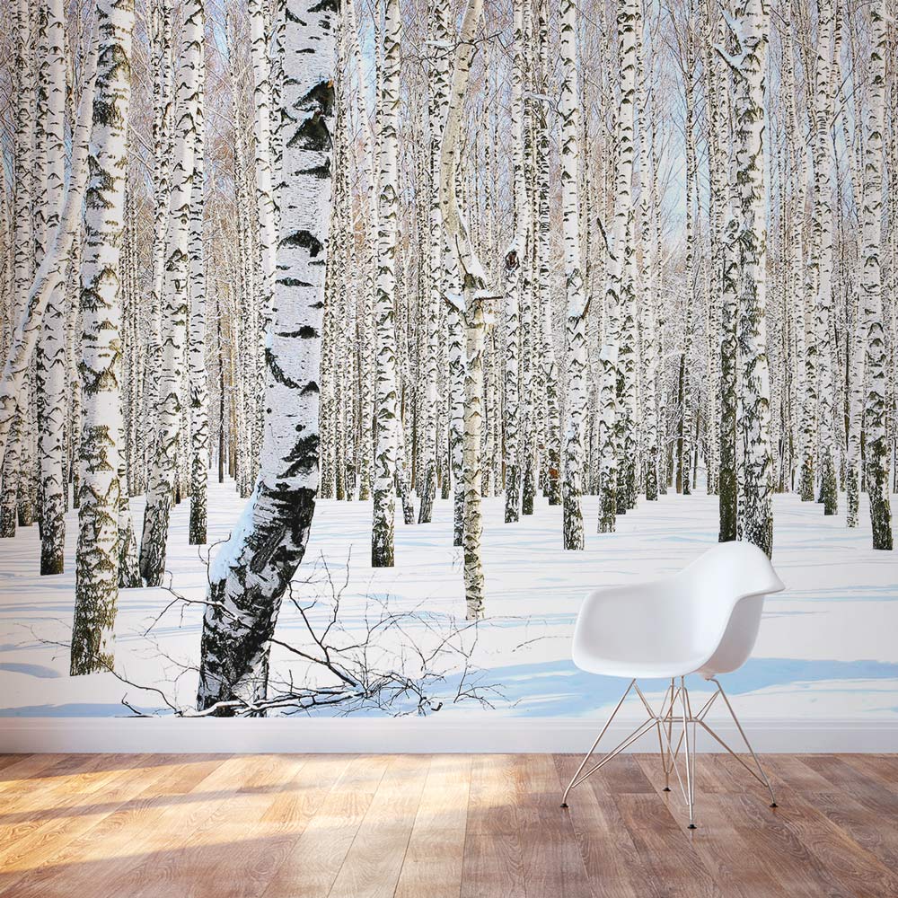 Winter Birch Trees Mural