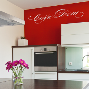 Carpe Diem Wall Quote Decal