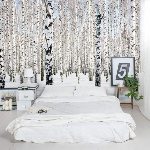 Snow Dense Winter Birch Tree Forest Wall Mural