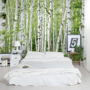 Summer Birch Forest Wall Mural