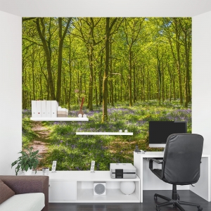 Woodland Trail Wall Mural