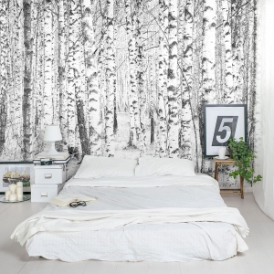 Winter Birch Trees Wall Mural
