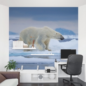 Wet Polar Bear Wall Mural