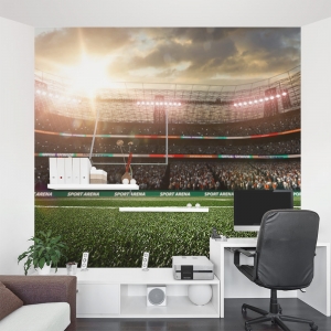 American Football Star Wall Mural