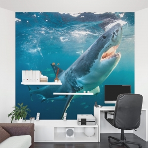 Removable Wall Murals (Large) | Custom Wall Mural Wallpaper - page 6