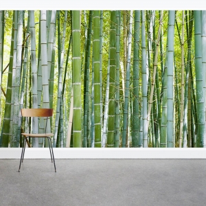 Thick Bamboo Forest Wall Mural