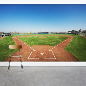 Baseball In Field Wall Mural