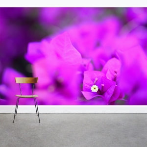 Bougainvillea Wall Mural