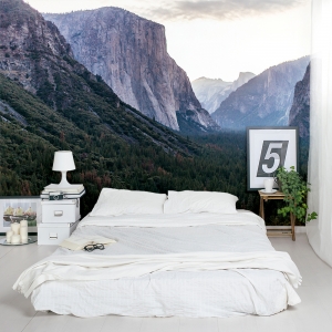 Yosemite Valley Wall Mural