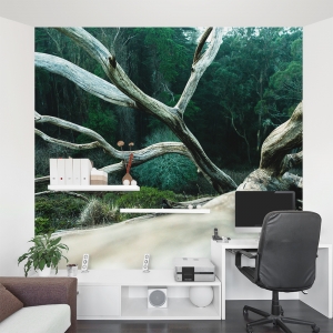 Fallen Tree Wall Mural