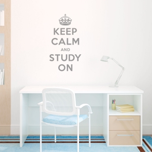 Keep calm and study on wall decal