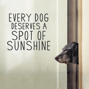 Every Dog Deserves Wall Decal