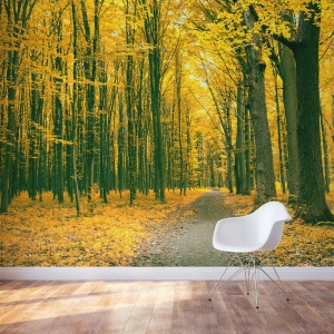 Golden Autumn Forest Wall Mural