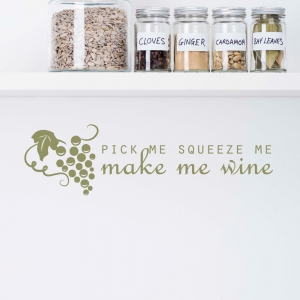 PIck Me, Squeeze Me Wall Decal Quote