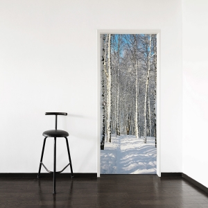 Winter Birch Path Door Mural