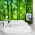 Chinese Timber Bamboo Trees Wall Mural