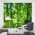 Chinese Timber Bamboo Trees Wall Mural