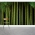 Bamboo Stalk Forest Wall Mural