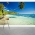 Sail Boats Beyond Palm Trees Wall Mural