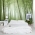 Bamboo Grove Bedroom Wall Mural