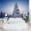 Winter Pine Tree Wall Mural