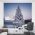 Winter Pine Tree Wall Mural