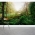 Sunrise Marsh Wall Mural