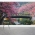 Blossoms in Okinawa Wall Mural