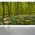 Woodland Trail Wall Mural