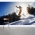 Snowboard Jump Wall Mural