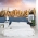 New York Bay Wall Mural