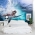 Underwater Surfer Wall Mural