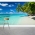 Island Paradise Wall Mural