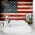 American Flag Wall Mural