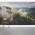 Mist Forest Wall Mural