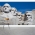 Mt. Rushmore Wall Mural