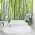 Thick Bamboo Forest Mural Bedroom