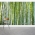 Thick Bamboo Forest Wall Mural